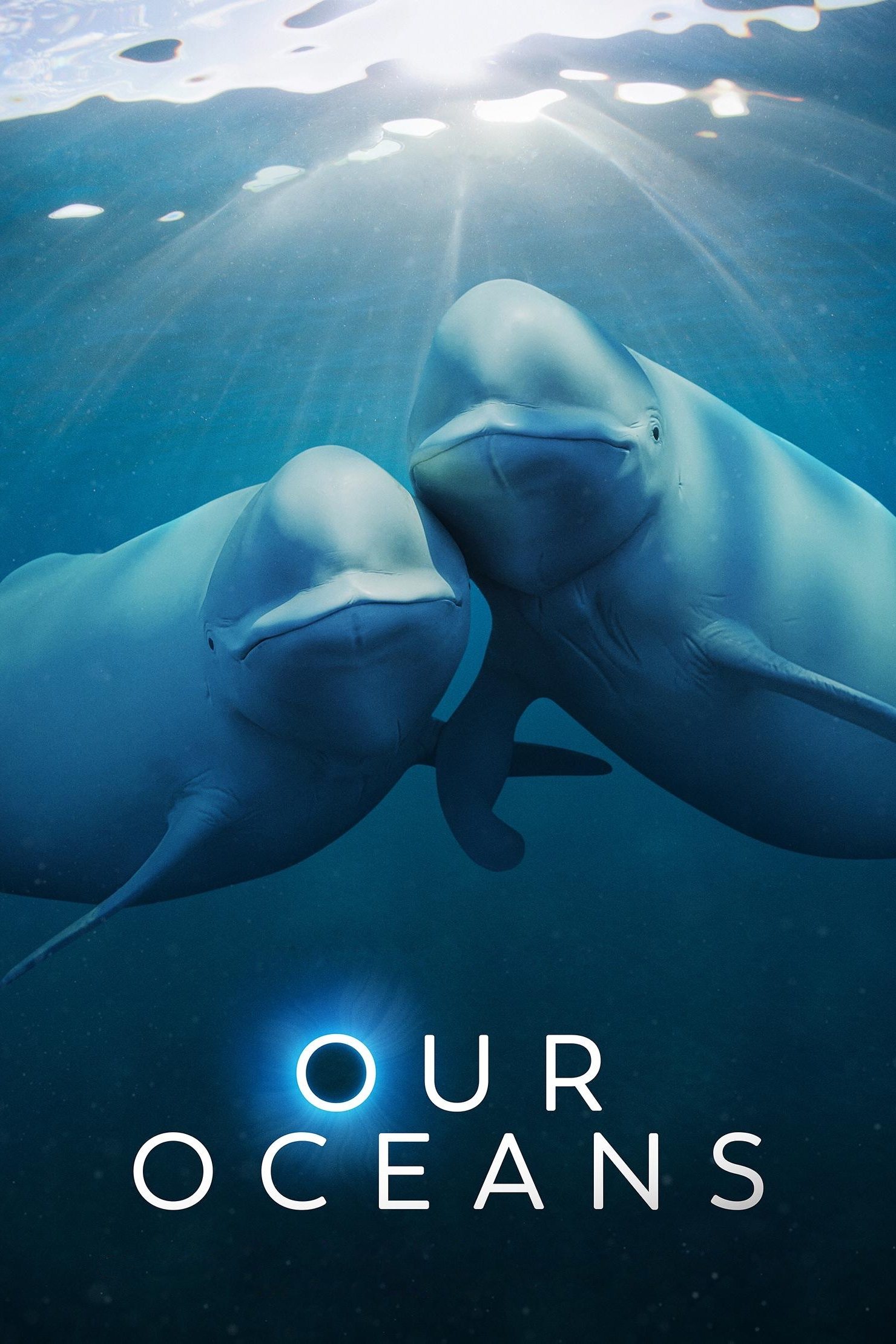Our Oceans - Season 1 [101089] (A1772786711) [[TV Programmes]] --Plex--